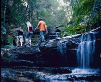 South Lawson Waterfall Circuit