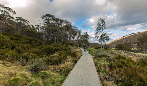 Thredbo Valley Track - Attractions Sydney 0