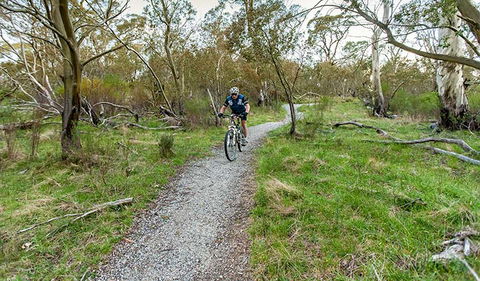 Thredbo Valley Track - Attractions Sydney 1