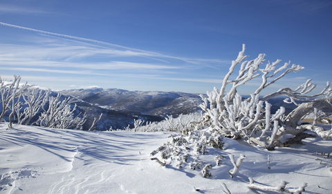 Rock Creek Snowshoe Track - Attractions Sydney 0