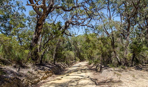 Howes Trail - Attractions Sydney 0