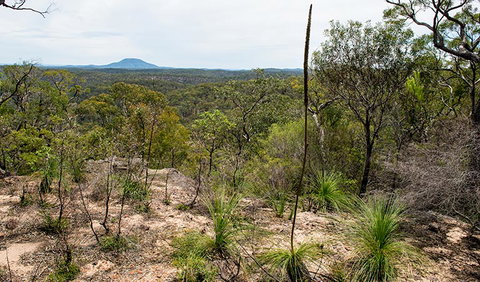 Howes Trail - Attractions Sydney 1