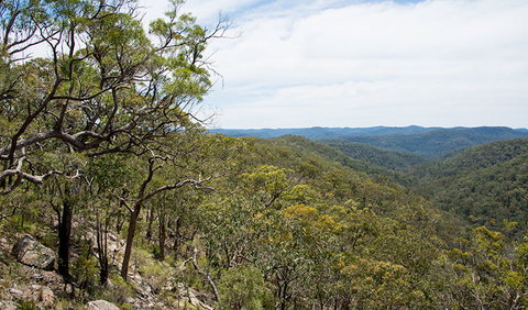 Howes Trail - Attractions Sydney 2