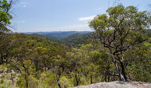 Howes Trail - Attractions Sydney 3