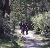 Syd's Rapids and Aboriginal Heritage Trail Avon Valley - Attractions Sydney