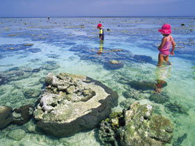 Southern Great Barrier Reef - Attractions Sydney 1