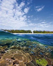 Southern Great Barrier Reef - Attractions Sydney 2