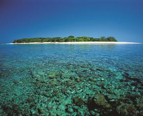 Southern Great Barrier Reef - Attractions Sydney 3