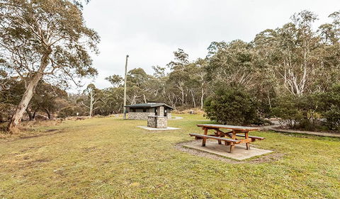Thredbo River Picnic Area - Attractions Sydney 0