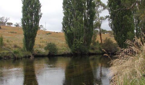 Thredbo River Picnic Area - Attractions Sydney 3