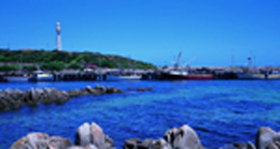 King Island TAS Attractions Sydney