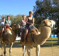 Calamunnda Camel Farm  - Attractions Sydney
