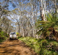 Barrington trail - Attractions Sydney