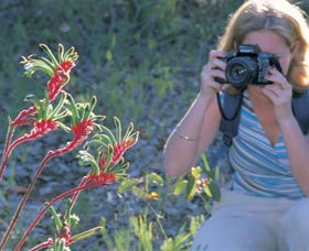 Kalamunda National Park - Attractions Sydney 1
