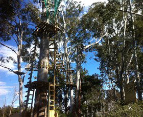 Trees Adventure Grose River Park - Attractions Sydney 1