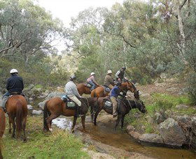 Snowy Wilderness - Attractions Sydney 5