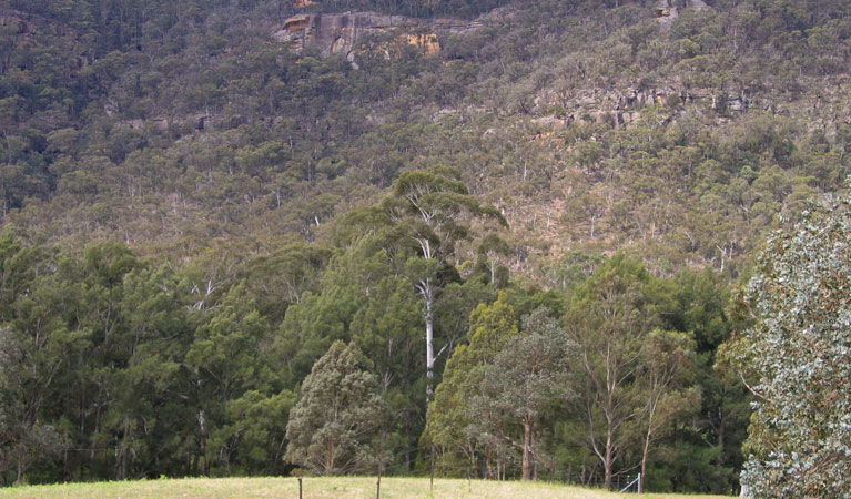 Joadja NSW Attractions Sydney