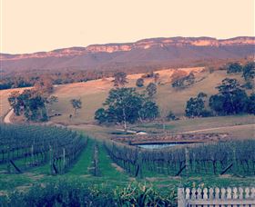 Dryridge Estate - Attractions Sydney 0