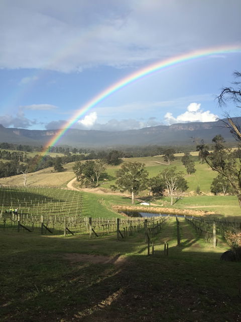 Dryridge Estate - Attractions Sydney 4