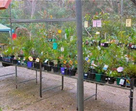 Glenbrook Native Plant Reserve And Nursery - Attractions Sydney 3