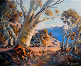 Kunama Snowy Mountains Centre For The Arts - Attractions Sydney 0
