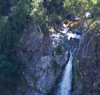 Lyrebird Falls walking track - Attractions Sydney