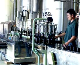 Sun Masamune Sake Brewery - Attractions Sydney 2