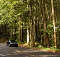 Greater Blue Mountains drive - Attractions Sydney