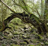 Mitchell River National Park - Attractions Sydney