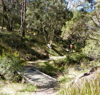 Wollomombi walking track - Attractions Sydney