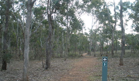 Green Track - Attractions Sydney 0