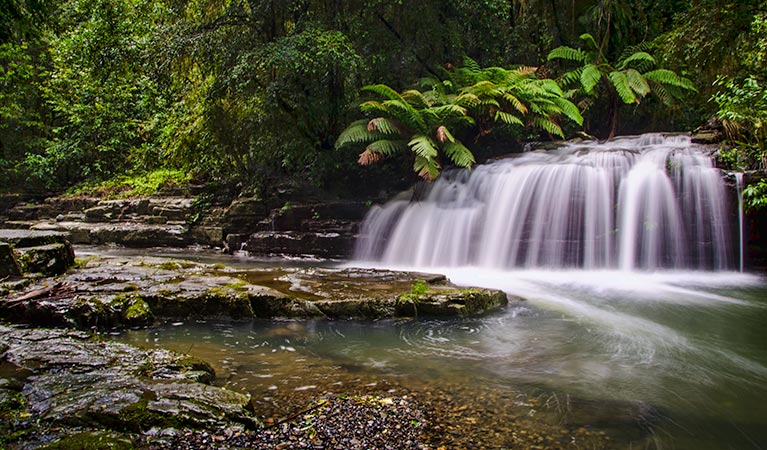 Flat Tops NSW Attractions Sydney