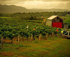Around Hermitage Wine And Food Trail Hunter Valley - Attractions Sydney 0