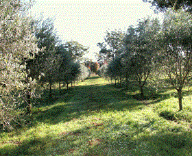 Langdale Farm - Attractions Sydney