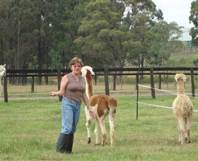 Langdale Farm - Attractions Sydney 4