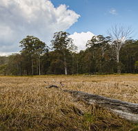 Mummel Gulf National Park - Attractions Sydney