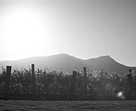 Scarborough Wine Co. - Attractions Sydney 1