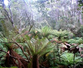 Pegarah Private Nature Reserve & Parenna Place - Attractions Sydney 1