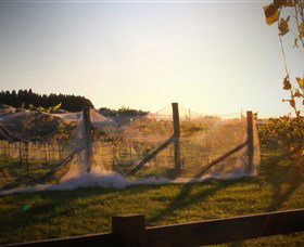 Bendooley Estate Book Barn - Attractions Sydney 2