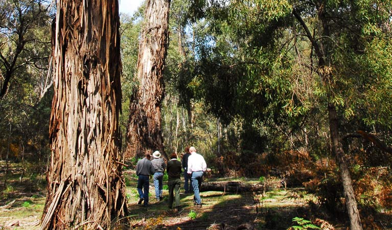 Oallen NSW Attractions Sydney