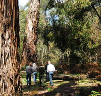 Tallaganda National Park - Attractions Sydney