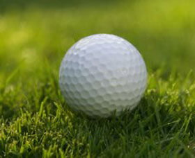 Collier Park Golf Course - Attractions Sydney 0