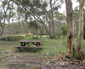 Box Vale Picnic Area - Attractions Sydney 2