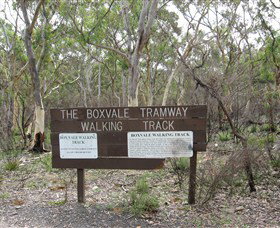 Box Vale Picnic Area - Attractions Sydney 0
