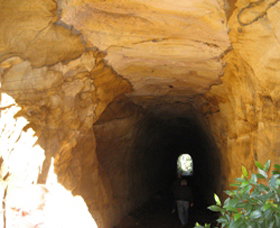 Box Vale Picnic Area - Attractions Sydney 1