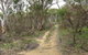 Box Vale Picnic Area - thumb 4