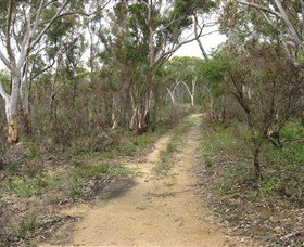 Box Vale Picnic Area - Attractions Sydney 4