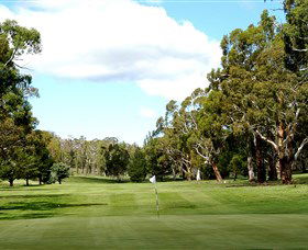 Cooma Golf Club - Attractions Sydney 0