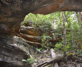 Cave Creek Walking Track - Attractions Sydney 0