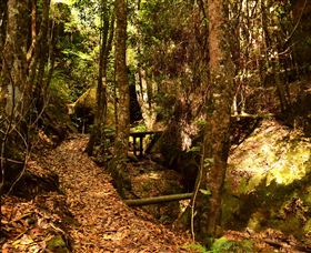 Cave Creek Walking Track - Attractions Sydney 2